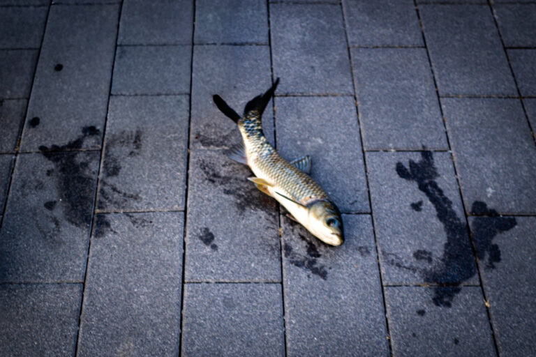 Photo by Alex 艾老师