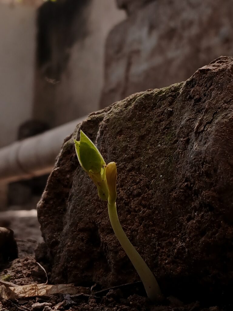 Photo by Ishrar E Mowla