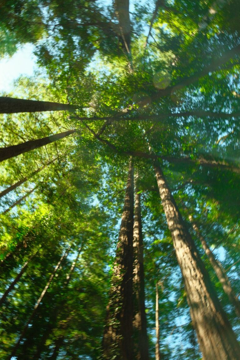 Photo by Matthew Artz