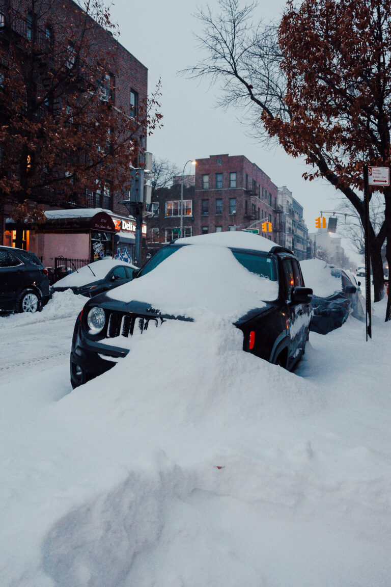 Photo by Shane Richards