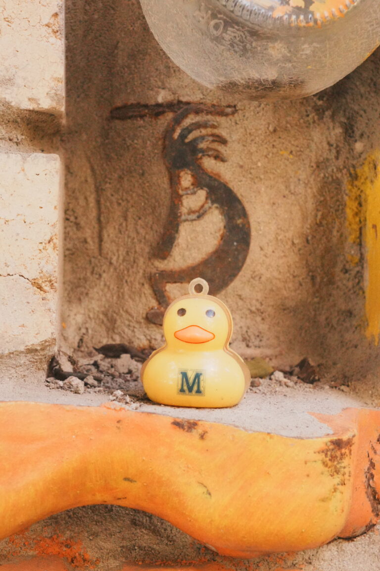 Photo by Chris O\'connor