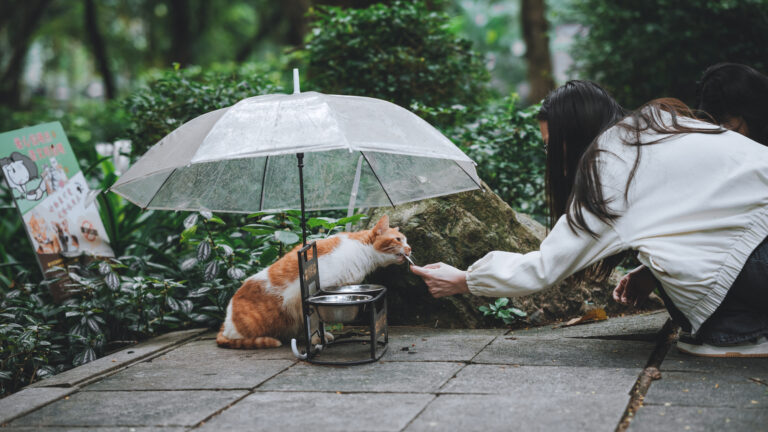 Photo by Andrew Szeto