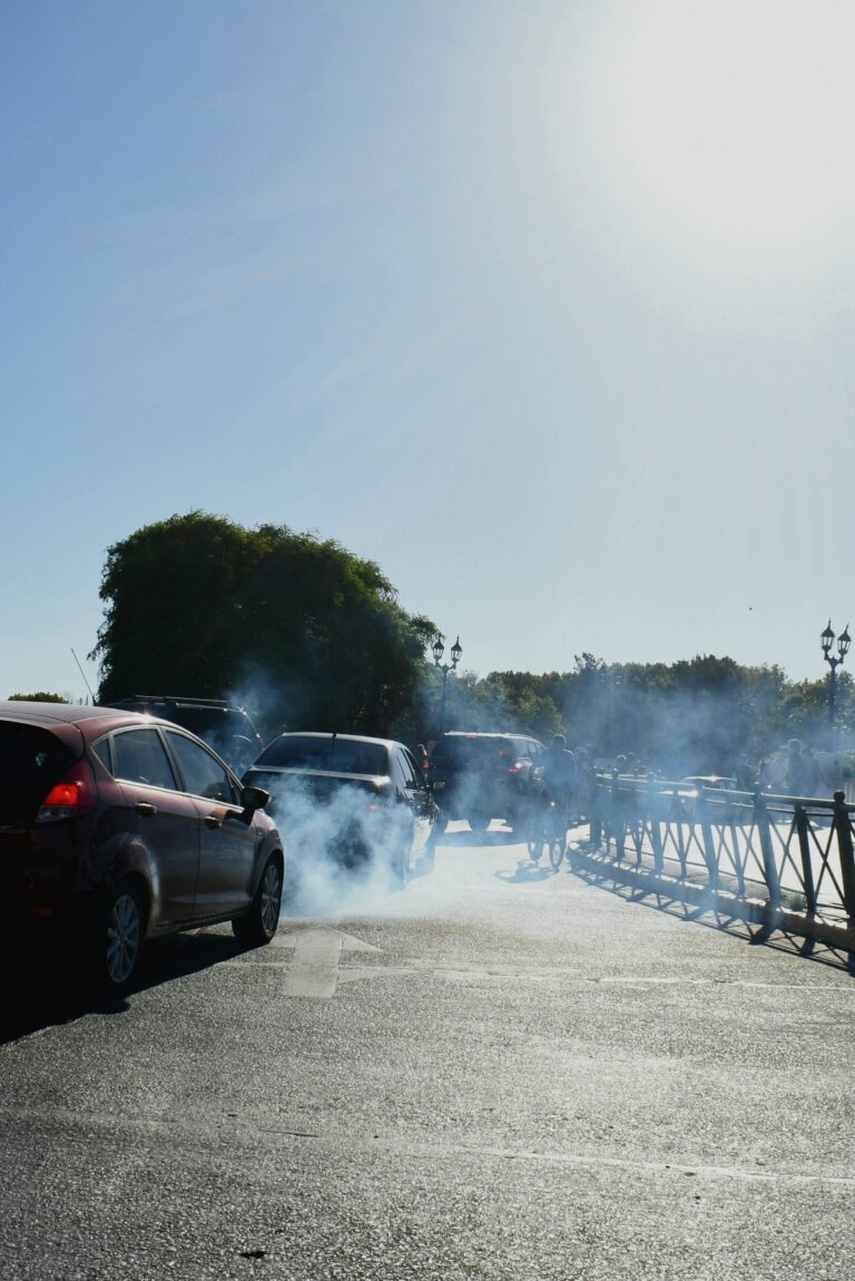 Photo by Rodrigo Marcotich