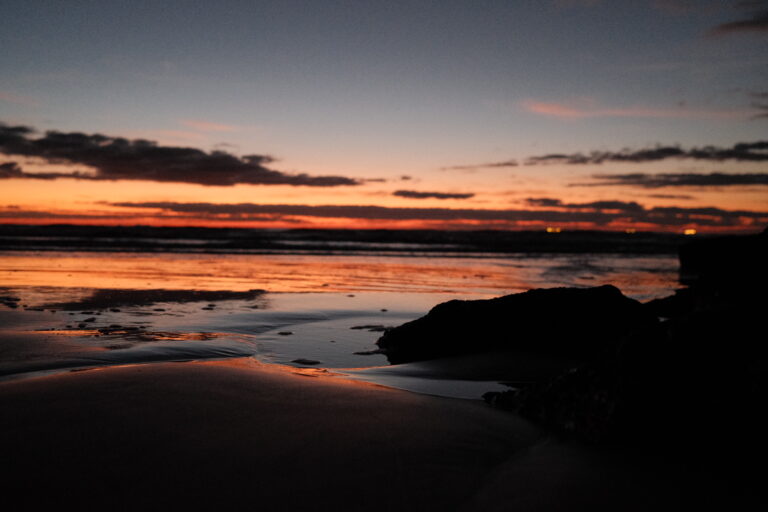 Photo by Brett Escuriex