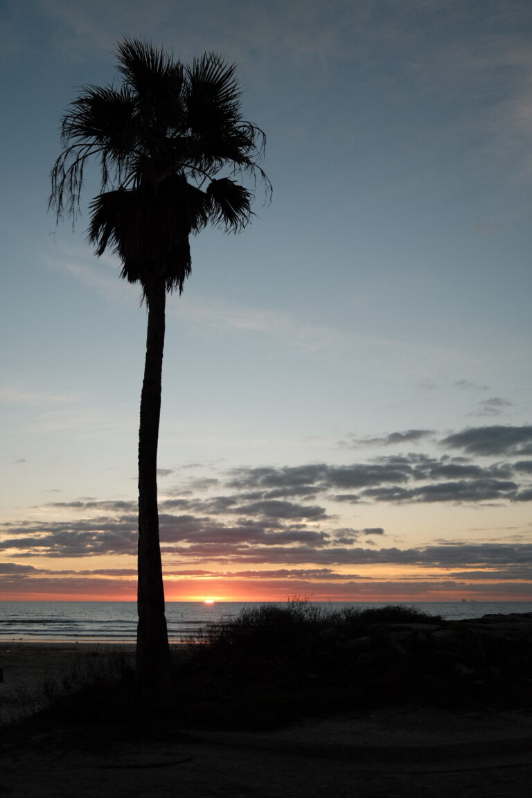 Photo by Brett Escuriex