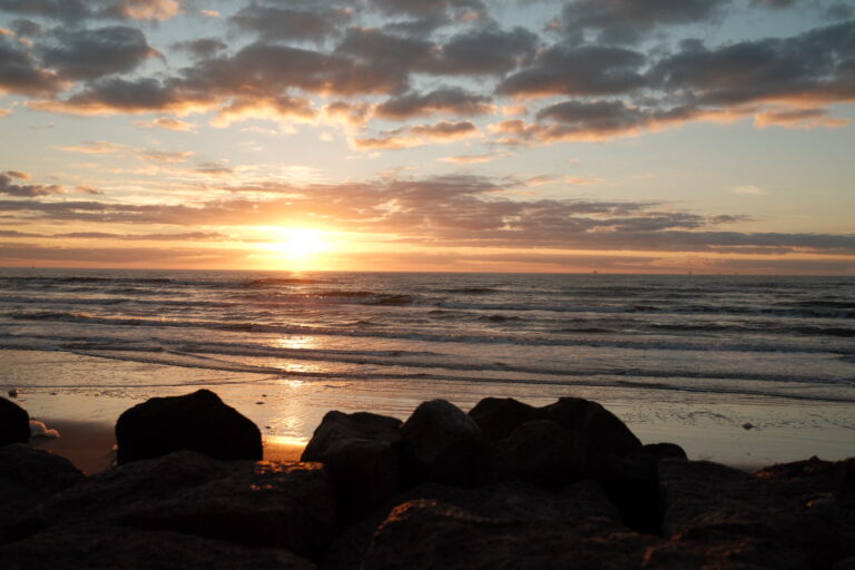 Photo by Brett Escuriex