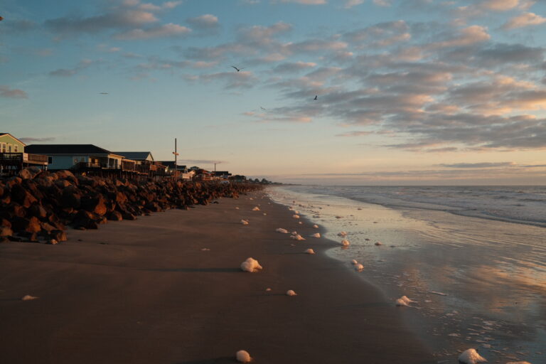 Photo by Brett Escuriex