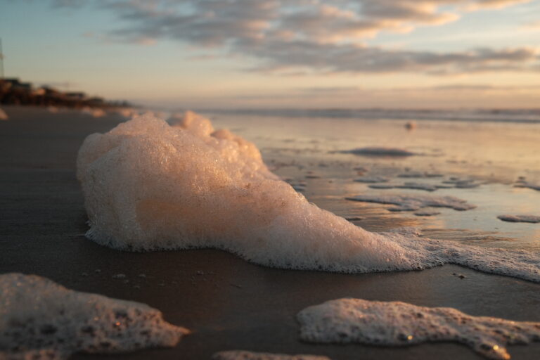 Photo by Brett Escuriex