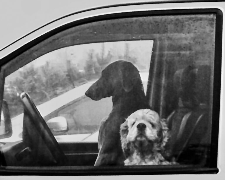 Photo by Sonja P. Panuska