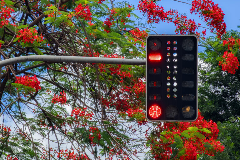 Photo by B.M. Garcia