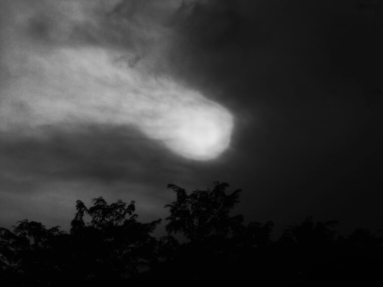 Photo by Fariz Azka Riyandi