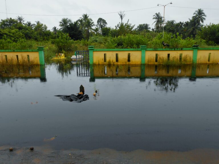 Photo by Fariz Azka Riyandi