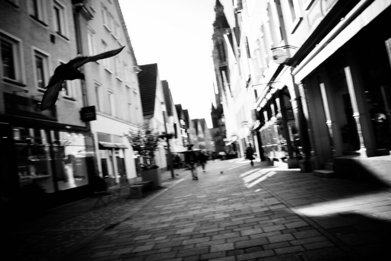 Photo by Jef 📷🍀