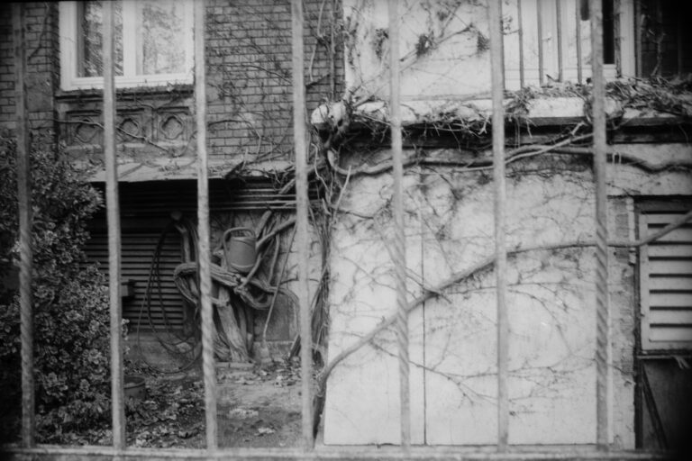 Photo by Máté Léber