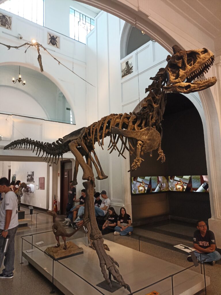 Photo by Nicolas Breno