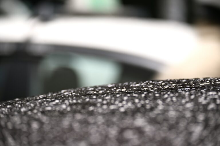 Photo by Toti Santiago