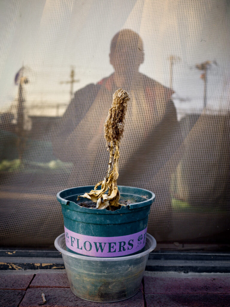 Photo by Alex 艾老师