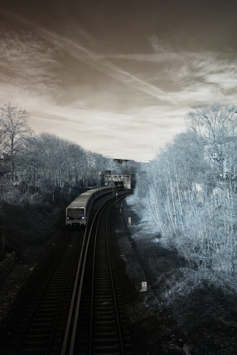 Photo by Ricardo Garcia