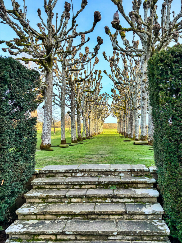 Photo by Simon Frost