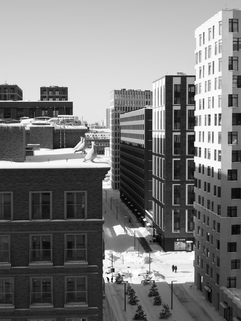 Photo by Dmitry Korol