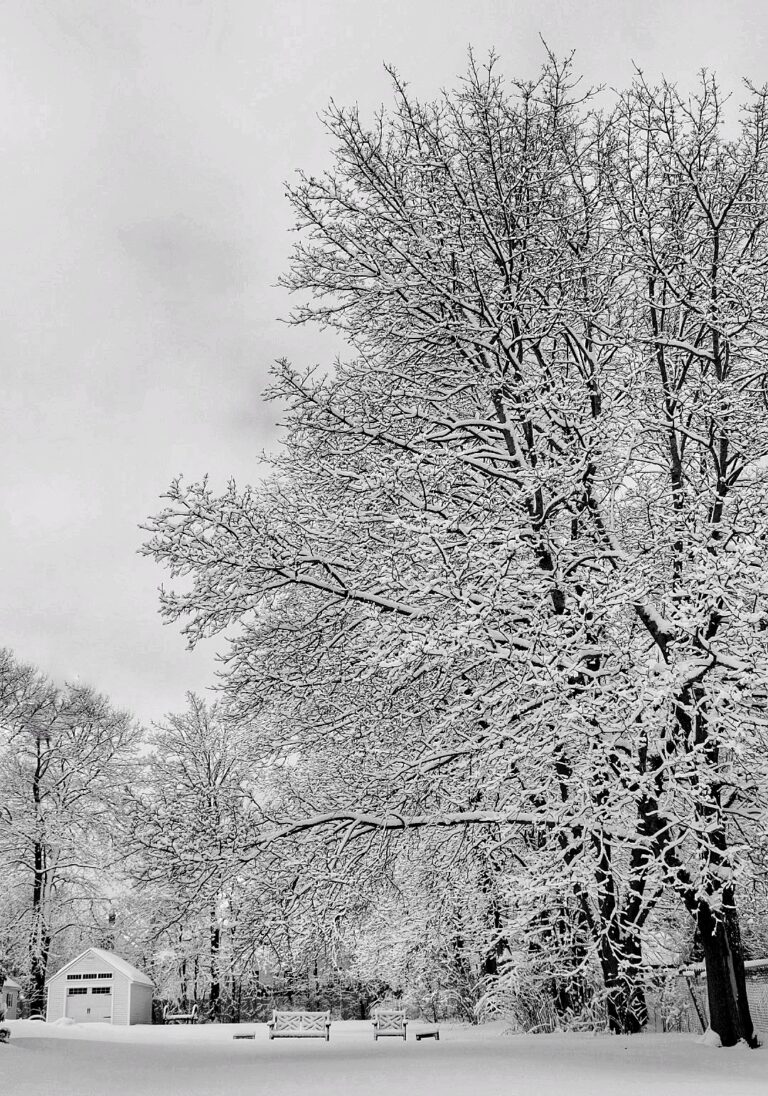 Photo by Manuel Ricardo Pérez