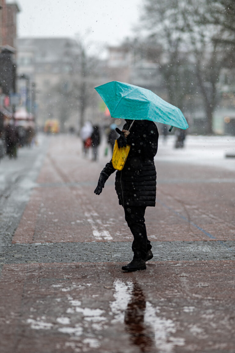 Photo by Thore Siebrands