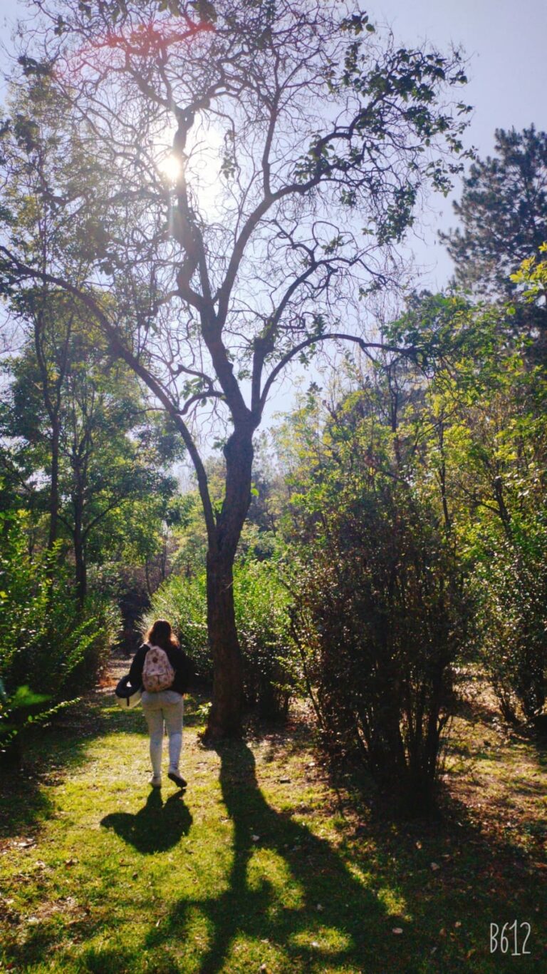 Photo by Tenochtitlan cuidad de México