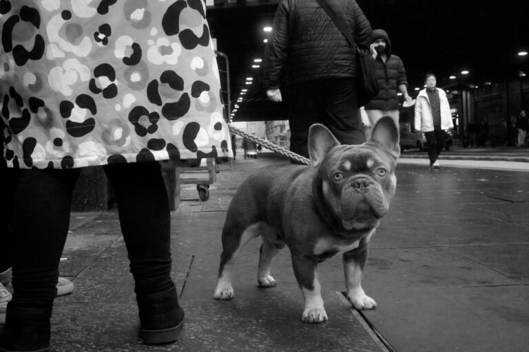 Photo by Framelines 81