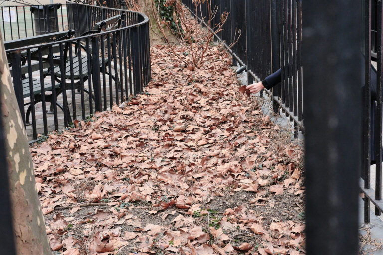 Photo by Kurt Slater