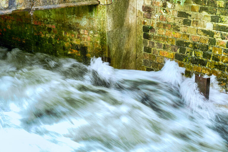 Photo by Simon Frost