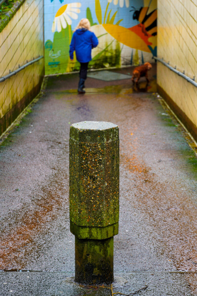 Photo by Simon Frost