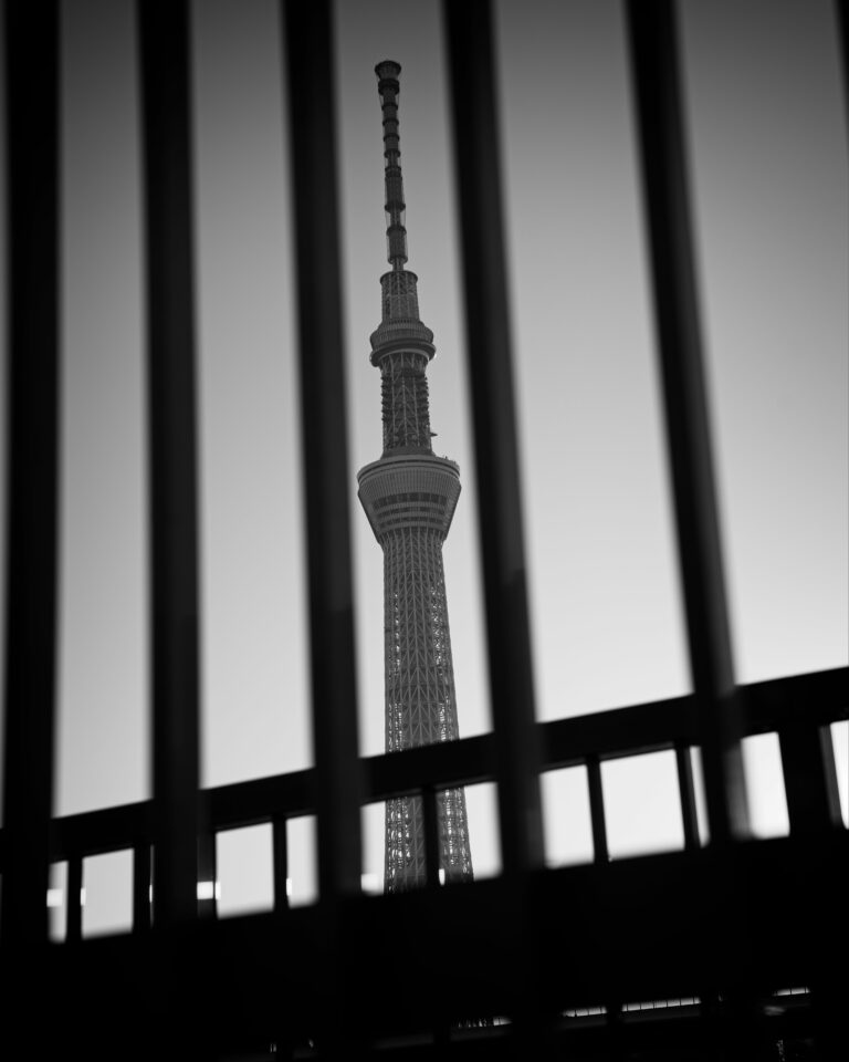 Photo by Mike Carter