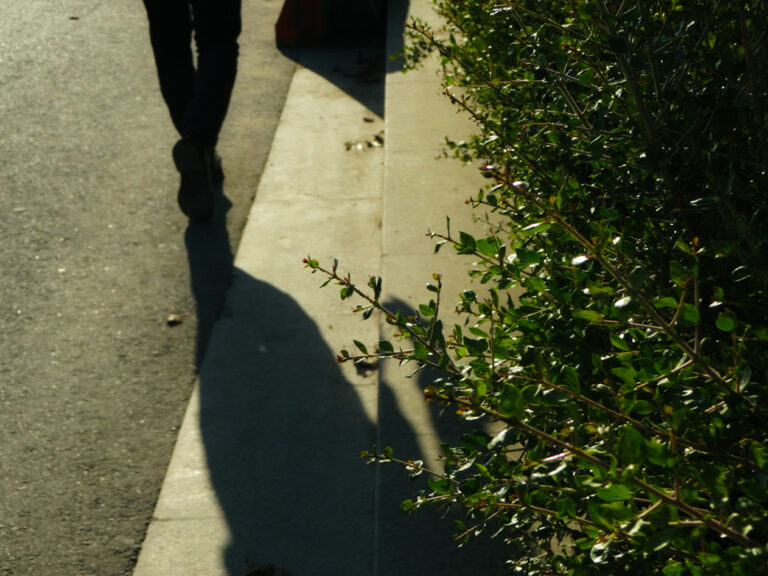 Photo by Ibraheem Elsayed