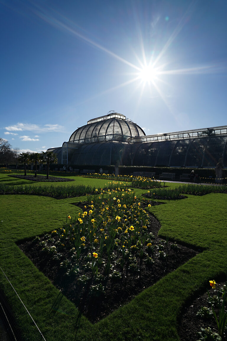 Photo by Franck Toto