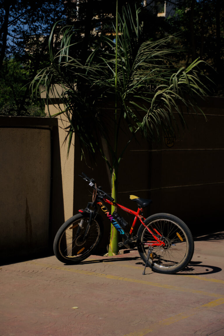 Photo by Demon Bentley