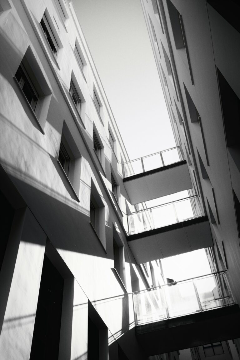 Photo by Trevor Morse