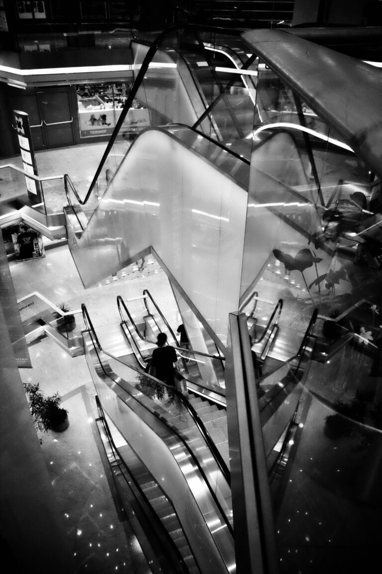 Photo by Jef 📷🍀