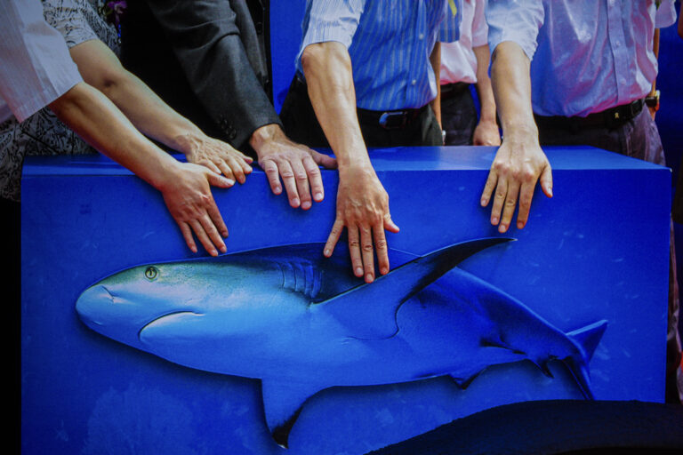 Photo by Alex 艾老师