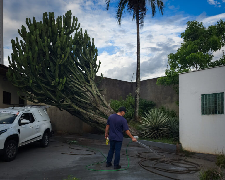 Photo by B.M. Garcia