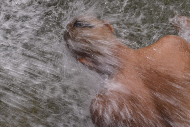 Photo by Sameer Khot