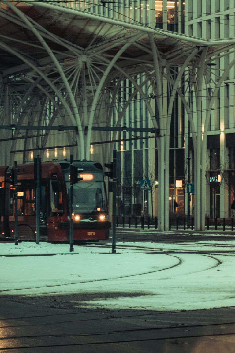 Photo by Grzegorz Obrocki