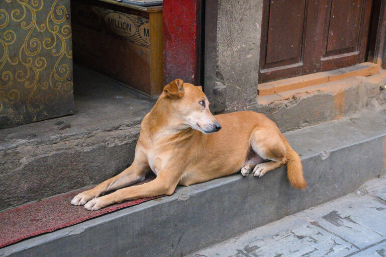 Photo by Black Pixel