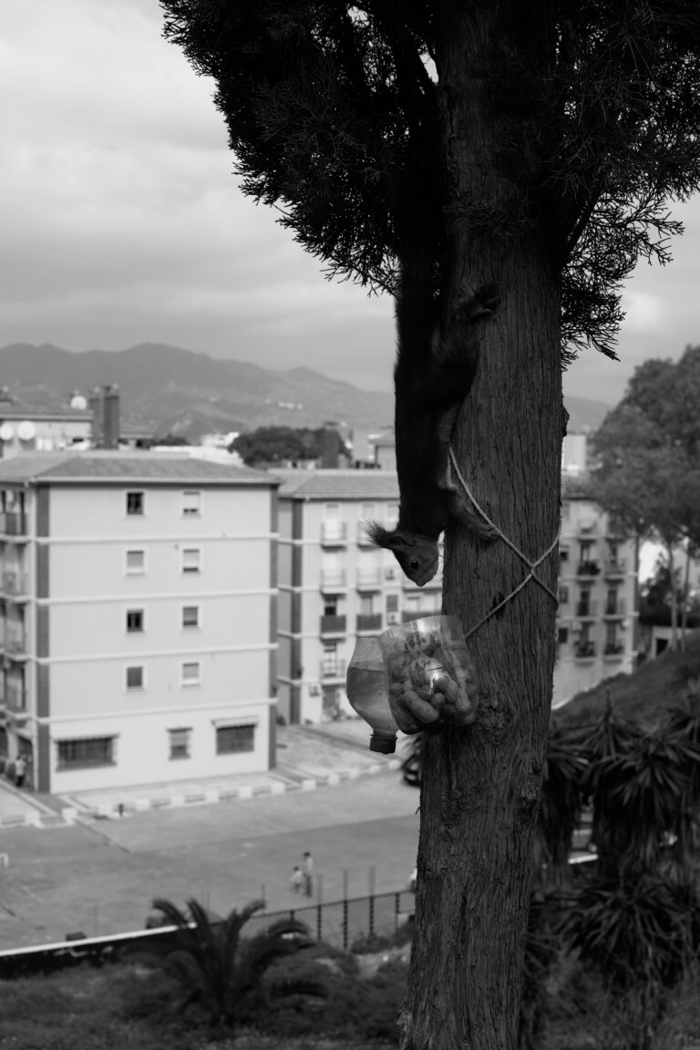 Photo by Pascal Hoerner