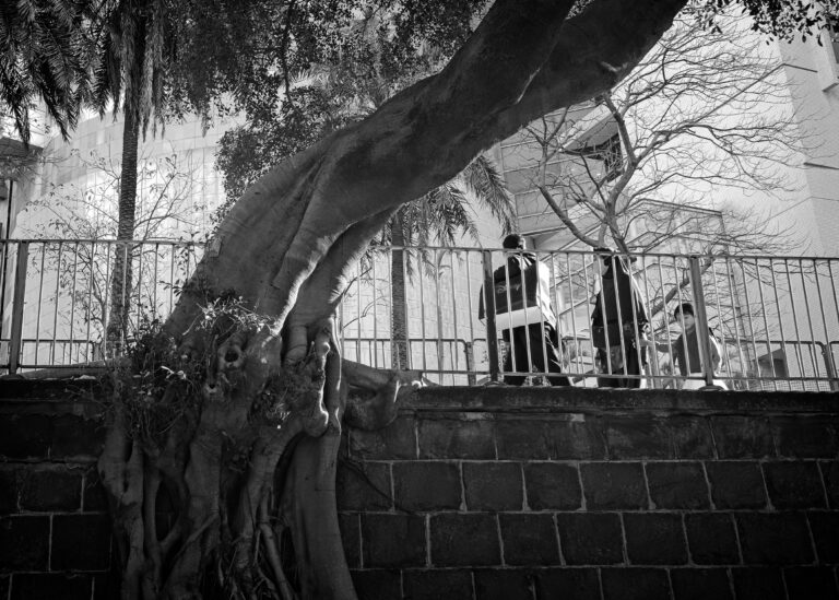 Photo by Stephen Lee