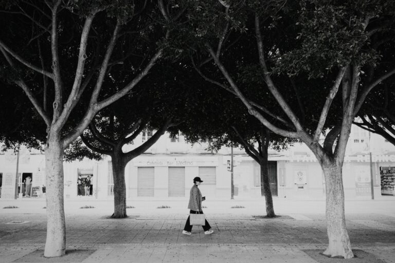 Photo by Trevor Morse