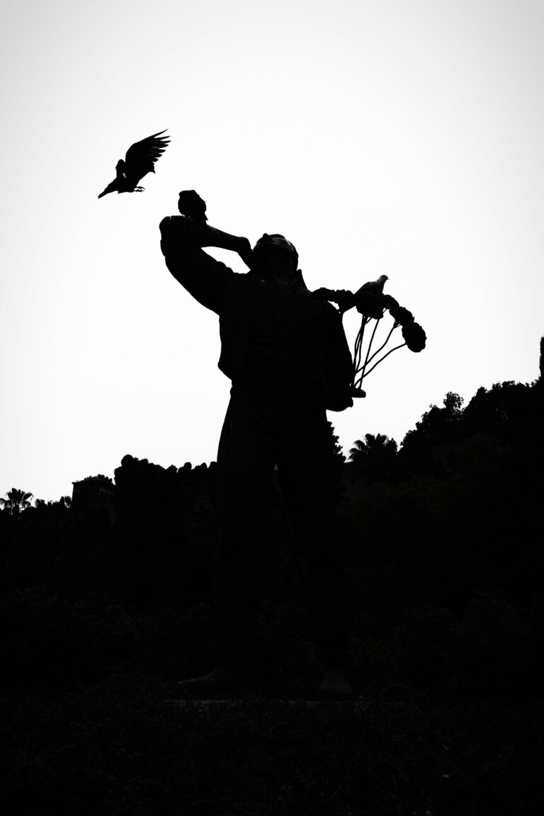 Photo by Trevor Morse