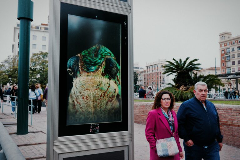 Photo by Trevor Morse