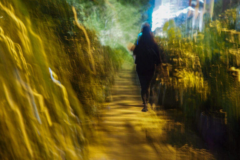 Photo by Alex 艾老师