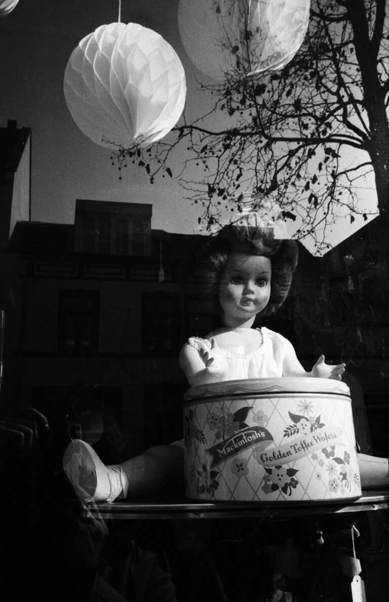 Photo by Drazen Fligic