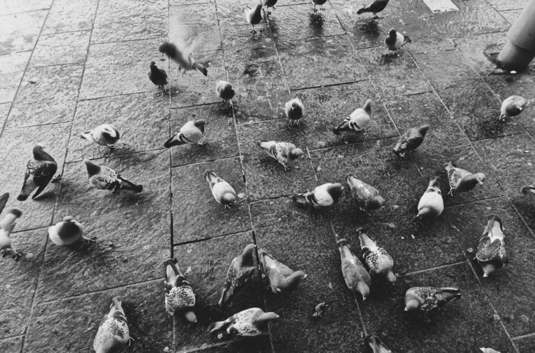 Photo by John Eelman